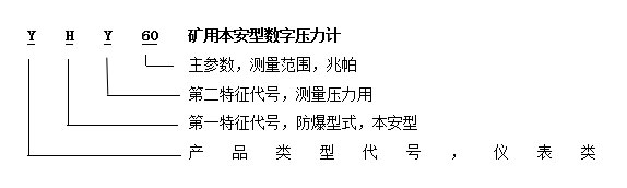 YHY60(A)礦用本安型數(shù)字壓力計(jì)